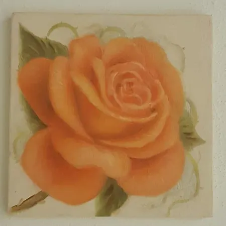 Five Roses Отель типа 