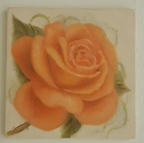 Five Roses Bed and breakfast 4*